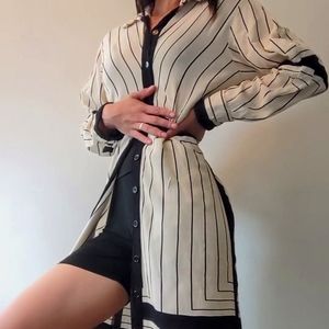 Zara Shirt Dress